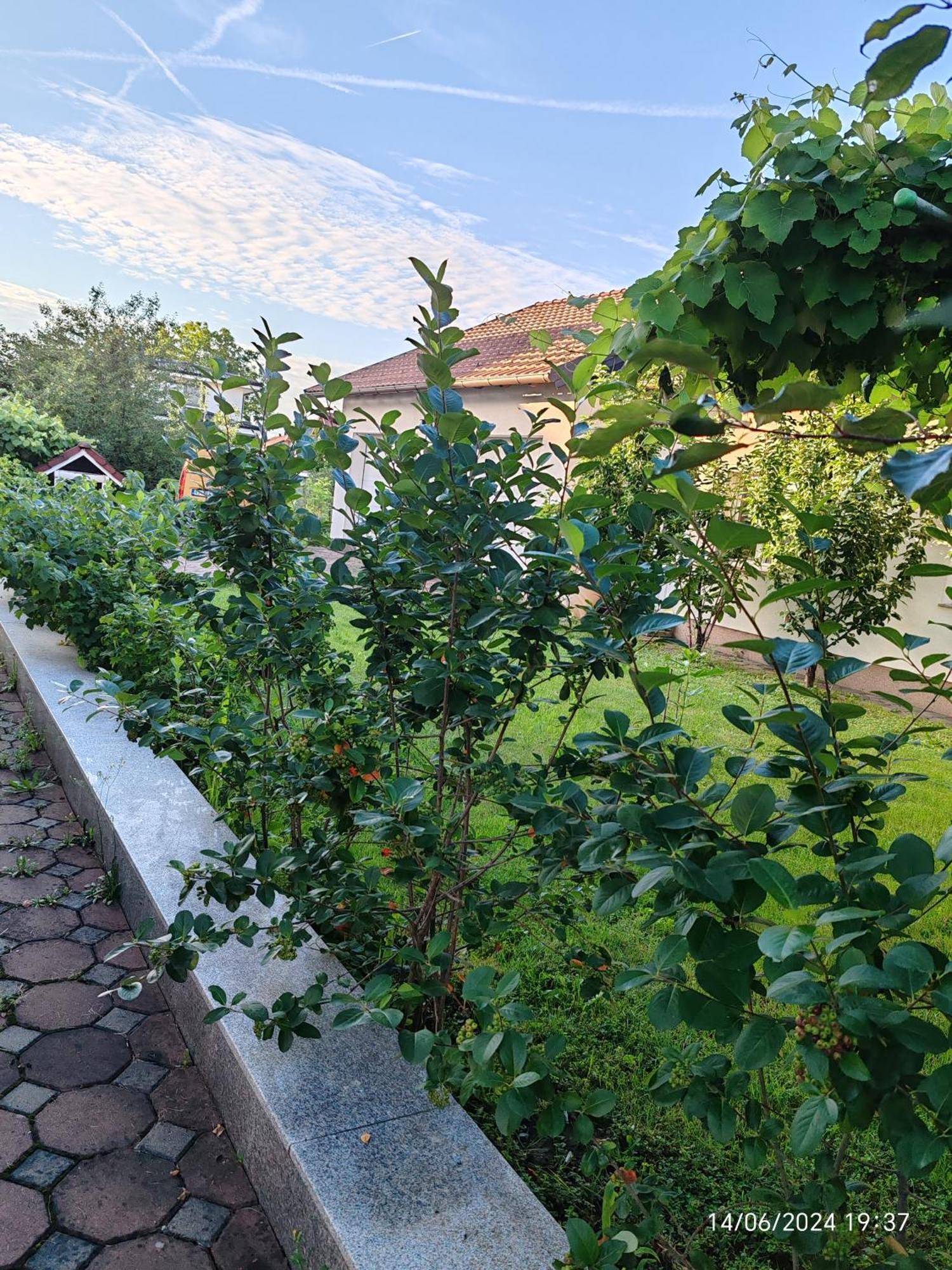 Guesthouse Jelic Teslić Buitenkant foto