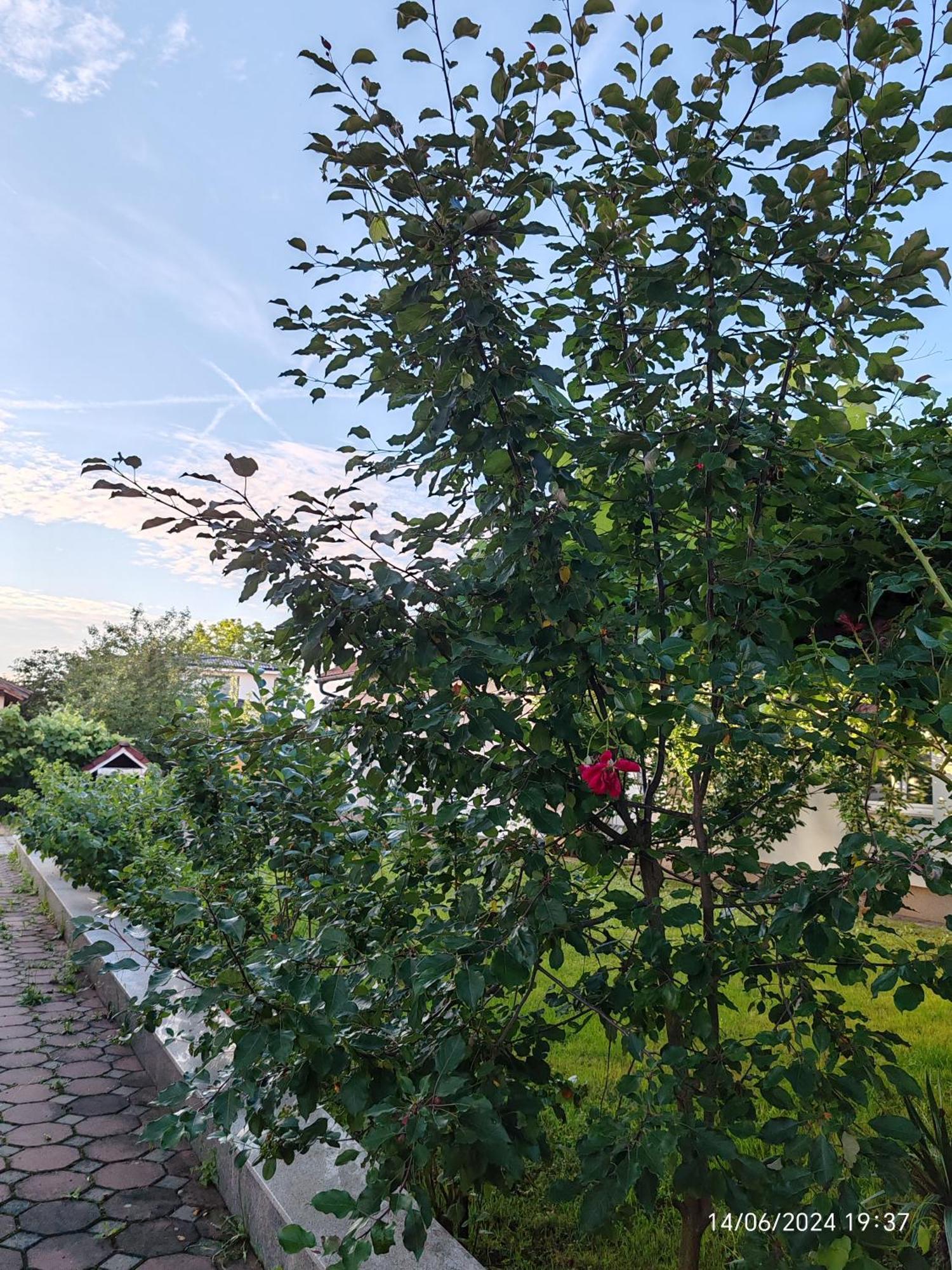 Guesthouse Jelic Teslić Buitenkant foto